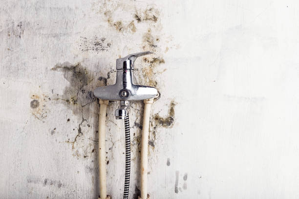 Blairsville, PA Mold Removal Company