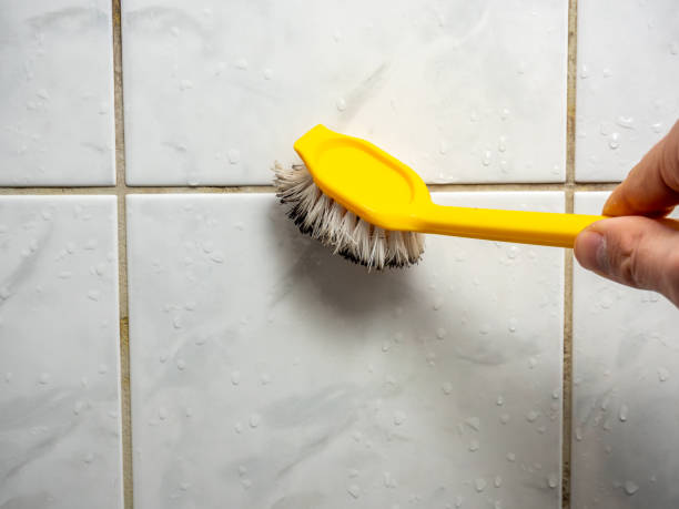 Best Toxic Mold Removal  in Blairsville, PA