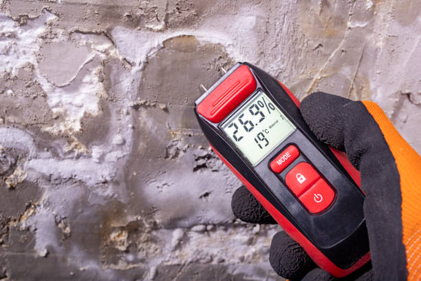Best Mold Cleaning Services  in Blairsville, PA